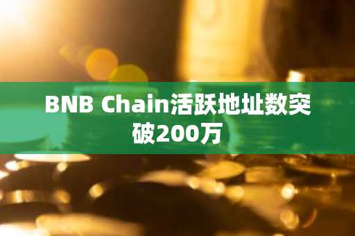 BNB Chain活跃地址数突破200万