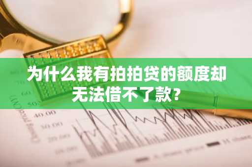 为什么我有拍拍贷的额度却无法借不了款？