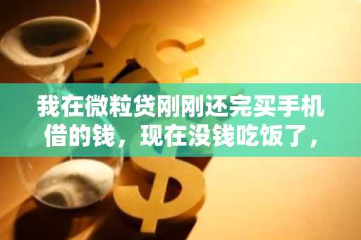我在微粒贷刚刚还完买手机借的钱，现在没钱吃饭了，我可以进行第二次贷款么？