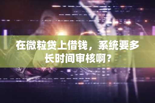 在微粒贷上借钱，系统要多长时间审核啊？