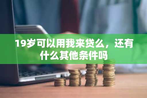 19岁可以用我来贷么，还有什么其他条件吗