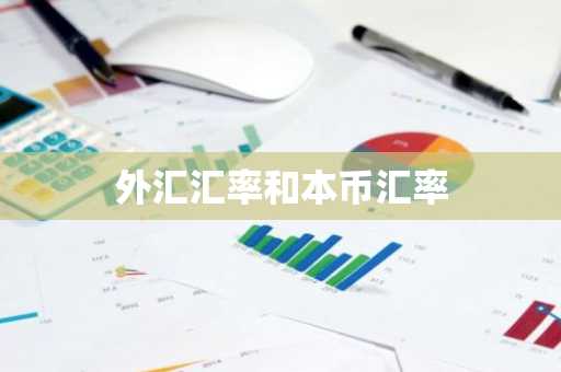 外汇汇率和本币汇率