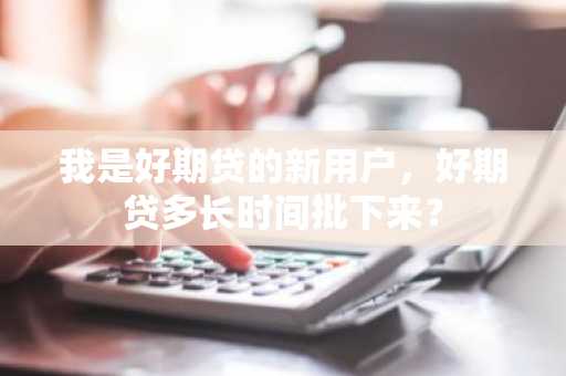 我是好期贷的新用户，好期贷多长时间批下来？
