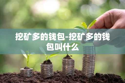 挖矿多的钱包-挖矿多的钱包叫什么
