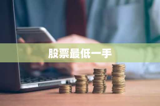 股票最低一手