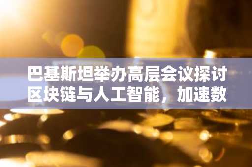 巴基斯坦举办高层会议探讨区块链与人工智能，加速数字经济发展