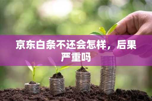 京东白条不还会怎样，后果严重吗
