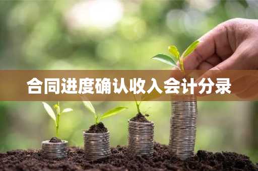 合同进度确认收入会计分录