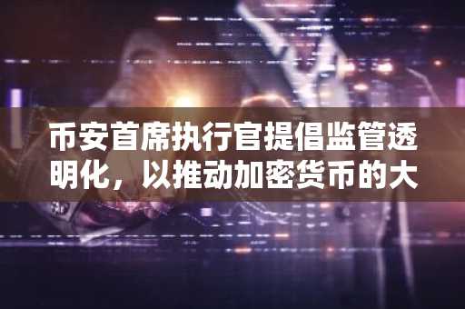 币安首席执行官提倡监管透明化，以推动加密货币的大规模采用