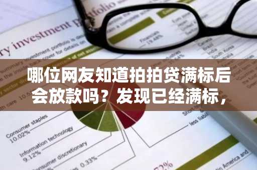 哪位网友知道拍拍贷满标后会放款吗？发现已经满标，但是到现在还没有放款。