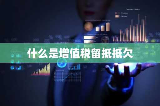什么是增值税留抵抵欠