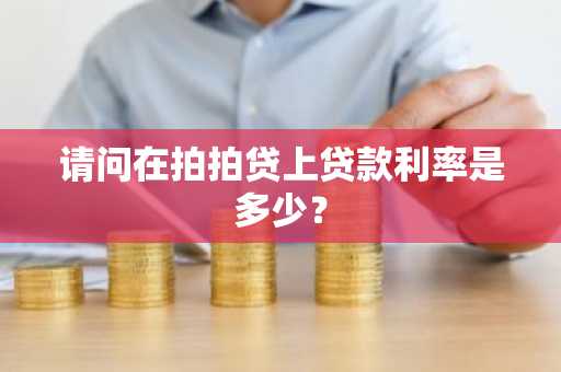 请问在拍拍贷上贷款利率是多少？