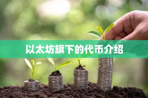以太坊旗下的代币介绍