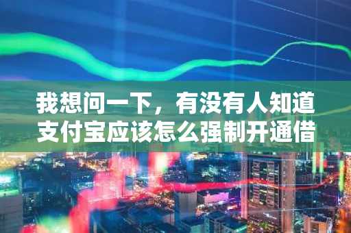 我想问一下，有没有人知道支付宝应该怎么强制开通借呗呢？