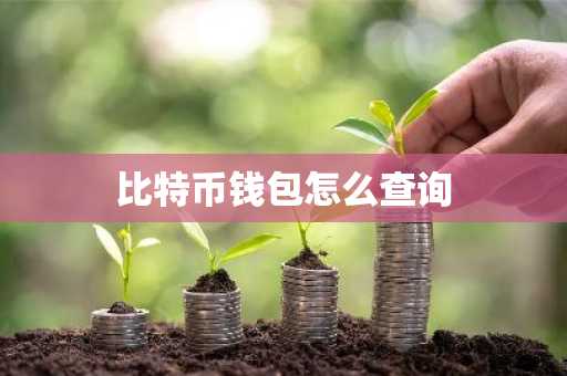 比特币钱包怎么查询
