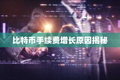 比特币手续费增长原因揭秘