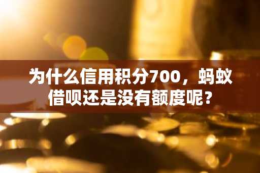 为什么信用积分700，蚂蚁借呗还是没有额度呢？