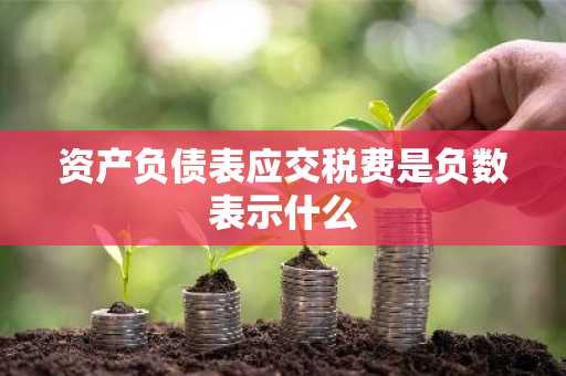 资产负债表应交税费是负数表示什么