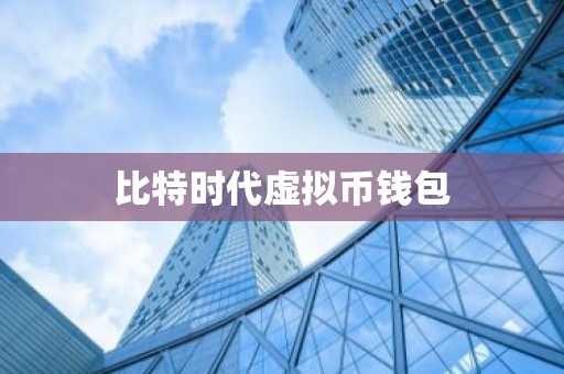 比特时代虚拟币钱包