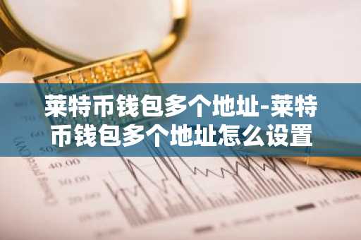 莱特币钱包多个地址-莱特币钱包多个地址怎么设置