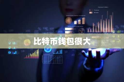 比特币钱包很大