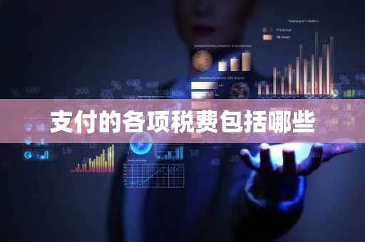 支付的各项税费包括哪些