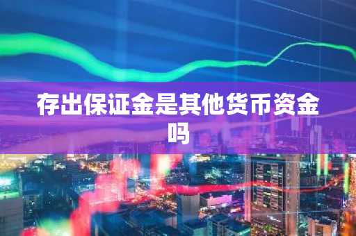 存出保证金是其他货币资金吗