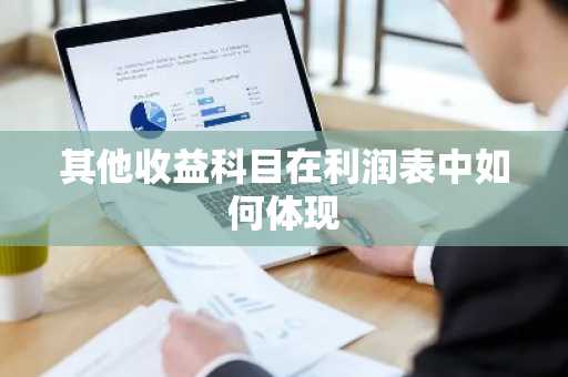 其他收益科目在利润表中如何体现