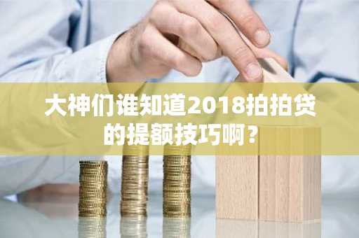 大神们谁知道2018拍拍贷的提额技巧啊？