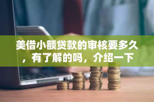 美借小额贷款的审核要多久，有了解的吗，介绍一下