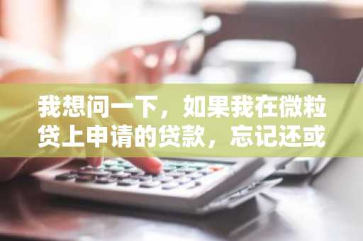 我想问一下，如果我在微粒贷上申请的贷款，忘记还或者晚还了会怎么样？