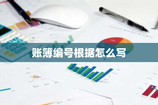 账簿编号根据怎么写