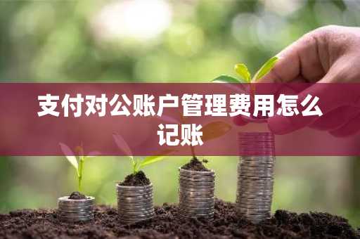 支付对公账户管理费用怎么记账