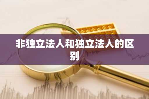 非独立法人和独立法人的区别