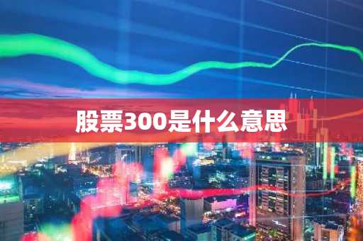 股票300是什么意思