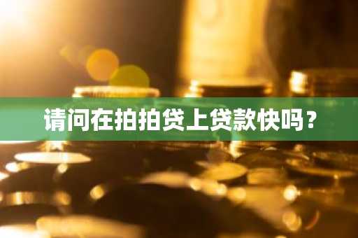 请问在拍拍贷上贷款快吗？