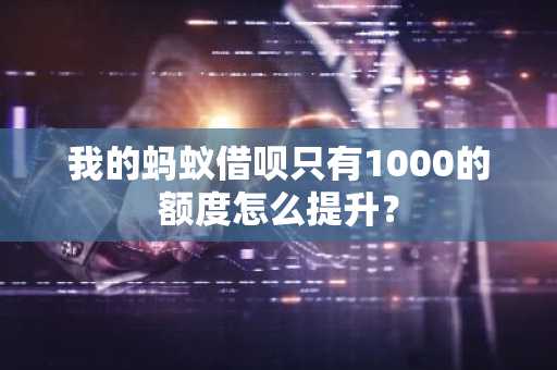 我的蚂蚁借呗只有1000的额度怎么提升？