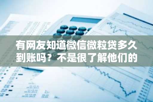 有网友知道微信微粒贷多久到账吗？不是很了解他们的到账时间。