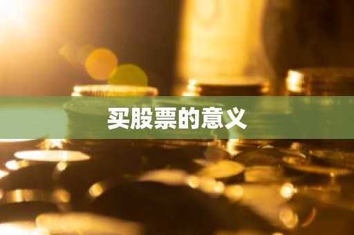 买股票的意义