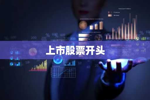 上市股票开头