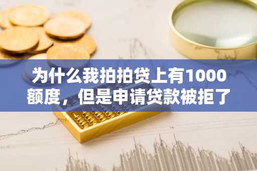 为什么我拍拍贷上有1000额度，但是申请贷款被拒了？