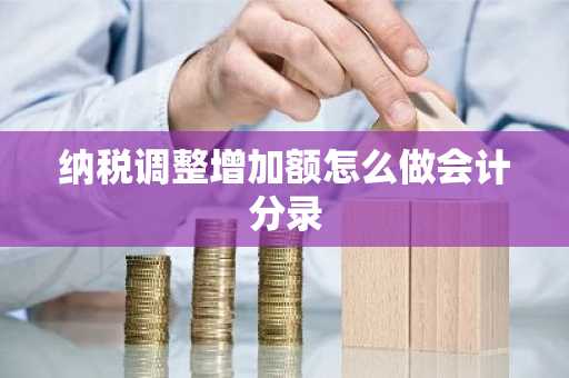 纳税调整增加额怎么做会计分录