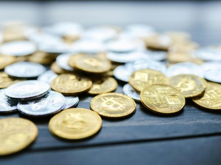 东莞比特币**案件最新