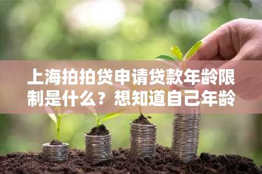 上海拍拍贷申请贷款年龄限制是什么？想知道自己年龄达不达标。