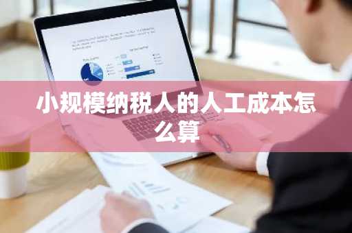 小规模纳税人的人工成本怎么算