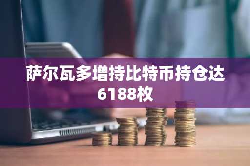 萨尔瓦多增持比特币持仓达6188枚