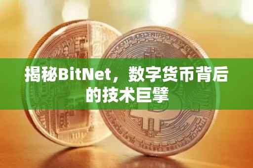 揭秘BitNet，数字货币背后的技术巨擘