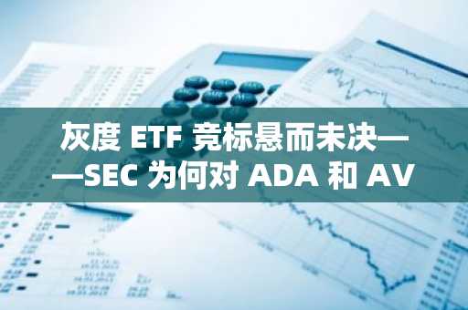 灰度 ETF 竞标悬而未决——SEC 为何对 ADA 和 AVAX 犹豫不决