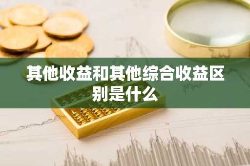 其他收益和其他综合收益区别是什么