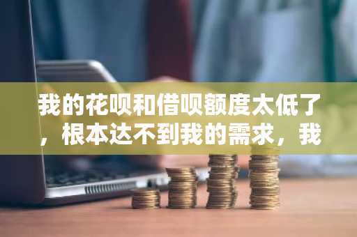 我的花呗和借呗额度太低了，根本达不到我的需求，我想问一下怎么提高可用额度啊？